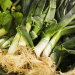 PNOS Nasiona warzyw | Por Starozagorski Kamush | Opakowanie 1g - imagine 6