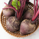 PNOS Nasiona otoczkowane | Burak Ćwikłowy Opolski | Opakowanie 100szt - imagine 8