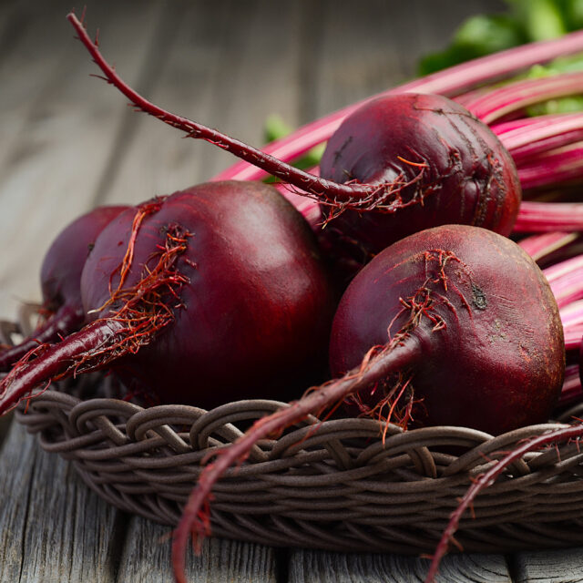 PNOS Nasiona na taśmie | Burak Ćwikłowy Czerwona Kula 2 | Taśma 6m - imagine 6