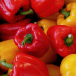 PNOS Nasiona warzyw | Papryka Jolanta | Opakowanie 0,5g - imagine 4