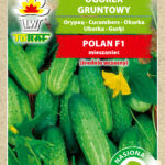 PNOS Nasiona na taśmie | Ogórek Polan F1 | Taśma 6m