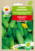 PNOS Nasiona na taśmie | Ogórek Polan F1 | Taśma 6m