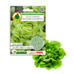 PNOS Nasiona otoczkowane | Sałata Głowiasta Masłowa Królowa Majowych | Opakowanie 100szt.
