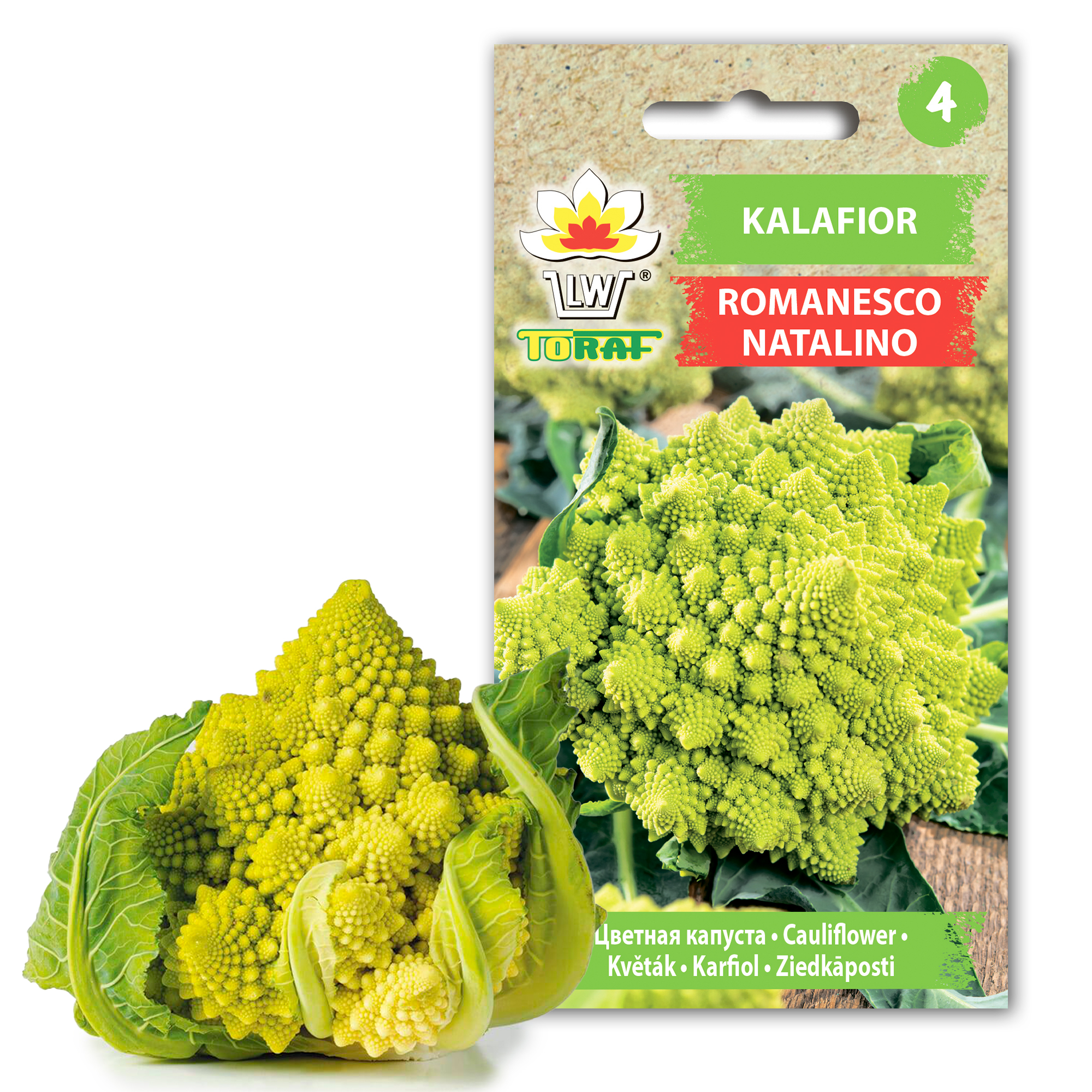 cps-a46e46b19ee10d65888a79c06711f9f7-2026-02-23-11-49-27 Toraf Nasiona warzyw | Kalafior Romanesco Natalino | Opakowanie 1g - imagine 1