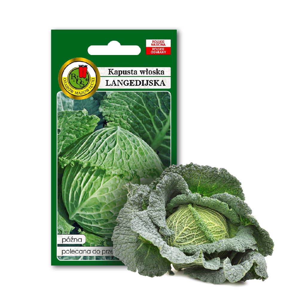 cps-a76304e780300b554a1de2dacb7de95c-2026-02-23-10-47-27 PNOS Nasiona warzyw | Kapusta Włoska Langedijska | Opakowanie 2g - imagine 1