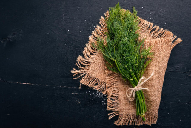 Toraf Nasiona warzyw | Koper Ogrodowy Krezus | Opakowanie 5g - imagine 7