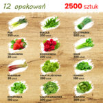 TORAF ZESTAW NASION SMAKI WIOSNY - 12 OPAKOWAŃ - imagine 6