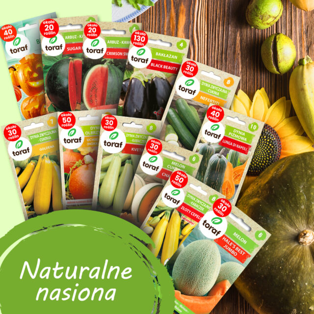 TORAF ZESTAW NASION SYMFONIA SMAKÓW - 12 OPAKOWAŃ - imagine 4