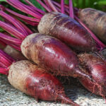 PNOS Nasiona na taśmie | Burak Ćwikłowy Opolski | Taśma 6m - imagine 4