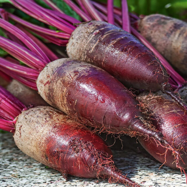 PNOS Nasiona na taśmie | Burak Ćwikłowy Opolski | Taśma 6m - imagine 4