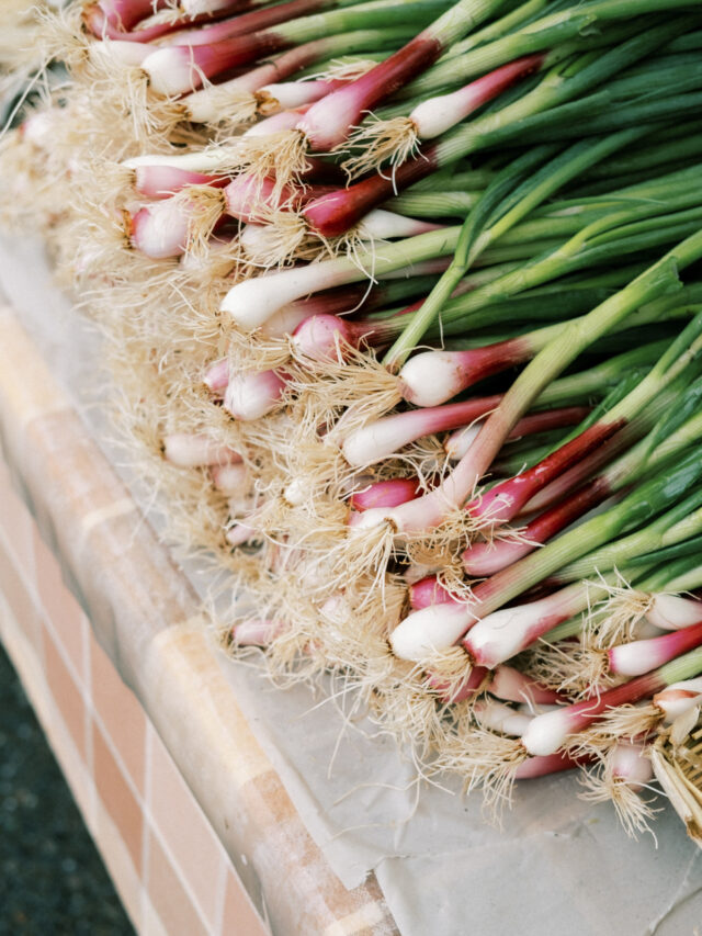 Toraf Nasiona warzyw | Cebula Siedmiolatka Red Toga | Opakowanie 1g - imagine 4