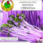 PNOS Nasiona na kiełki | Kapusta Czerwona | Opakowanie 8g