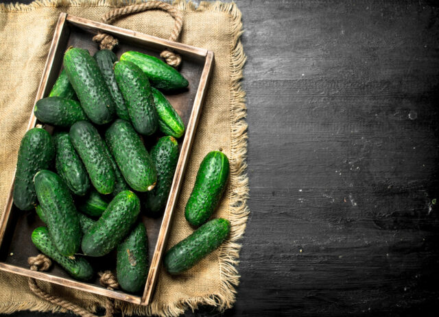 Toraf Nasiona warzyw | Ogórek Krak F1 | Opakowanie 5g - imagine 5