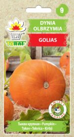 Toraf Nasiona warzyw | Dynia Olbrzymia Golias | Opakowanie 4g - imagine 2