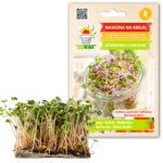 PNOS Nasiona na kiełki | Rzodkiewka China Rose | Opakowanie 20g