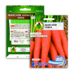 PNOS Nasiona na taśmie | Marchew Jadalna Lenka | Taśma 6m - imagine 9