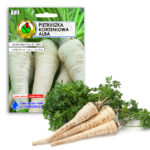 PNOS Nasiona na taśmie | Pietruszka Korzeniowa Alba | Taśma 6m