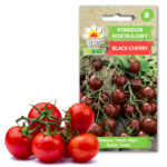 Toraf Nasiona warzyw | Pomidor Black Cherry | Opakowanie 0,3g