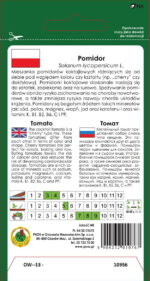 PNOS Mieszanka nasion | Dynia Olbrzynia | Opakowanie 0,9g - imagine 3