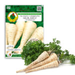 PNOS Nasiona otoczkowane | Pietruszka Korzeniowa Halblange | Opakowanie 300szt.