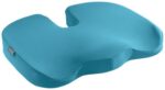 LEITZ Ergo Cosy Orthopedic Chair Cushion cyan