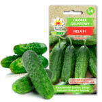 Toraf Nasiona warzyw | Ogórek Hela F1 | Opakowanie 5g