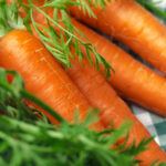 PNOS Nasiona warzyw | Marchew Jadalna Lenka | Opakowanie 5g - imagine 7