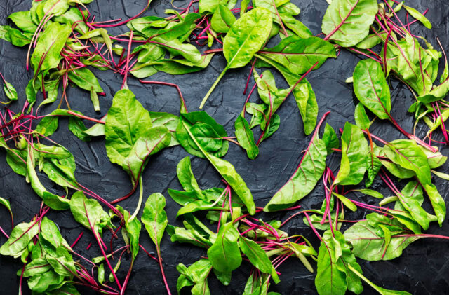 PNOS Nasiona na kiełki | Burak Ćwikłowy Beta Vulgaris | Opakowanie 10g - imagine 6