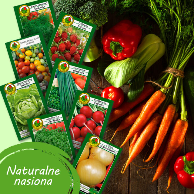 PNOS Zestaw | Nasiona Warzywa Domowe | 8 Opakowań - imagine 4