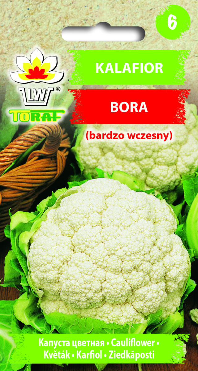 Toraf Nasiona warzyw | Kalafior Bora | Opakowanie 1g - imagine 2