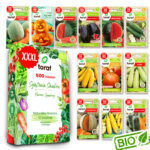 TORAF ZESTAW NASION SYMFONIA SMAKÓW - 12 OPAKOWAŃ