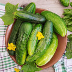 PNOS Nasiona na taśmie | Ogórek Gruntowy Szeryf F1 | Taśma 6m - imagine 7