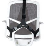 Fellowes Ergonomics professional back support pillow - imagine 4