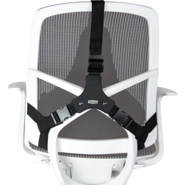 Fellowes Ergonomics professional back support pillow - imagine 4