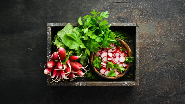 Toraf Nasiona warzyw | Rzodkiewka Opolanka | Opakowanie 10g - imagine 7