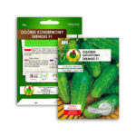 PNOS Nasiona na taśmie | Ogórek Gruntowy Śremski F1 | Taśma 6m - imagine 9