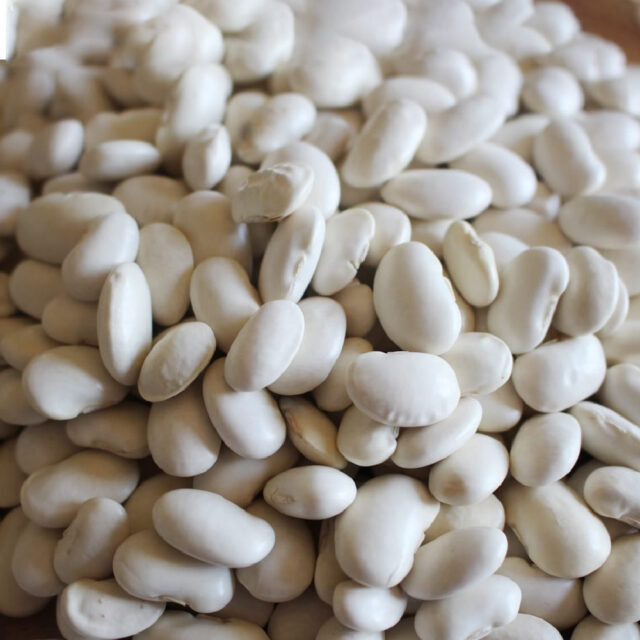 PNOS Nasiona warzyw | Fasola Na Suche Nasiona Igłomska | Opakowanie 50g - imagine 5