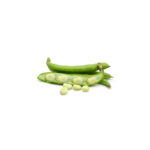 PNOS Nasiona warzyw | Bób Jankiel Biały | Opakowanie 50g - imagine 7