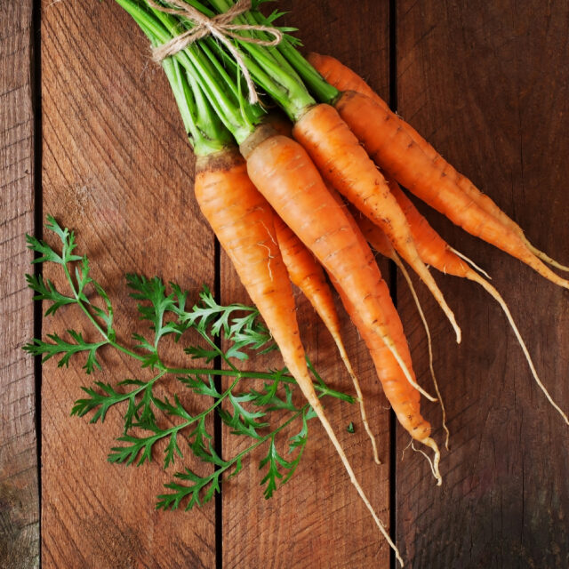 PNOS Nasiona warzyw | Marchew Jadalna Lenka | Opakowanie 5g - imagine 4