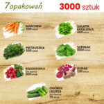 TORAF ZESTAW NASION SMAKI LATA - 7 OPAKOWAŃ - imagine 6