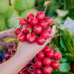 PNOS Nasiona otoczkowane | Rzodkiewka Karminowa | Opakowanie 200szt. - imagine 5