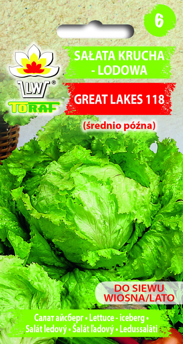 Toraf Nasiona warzyw | Sałata Krucha Lodowa Great Lakes 118 | Opakowanie 2g - imagine 2
