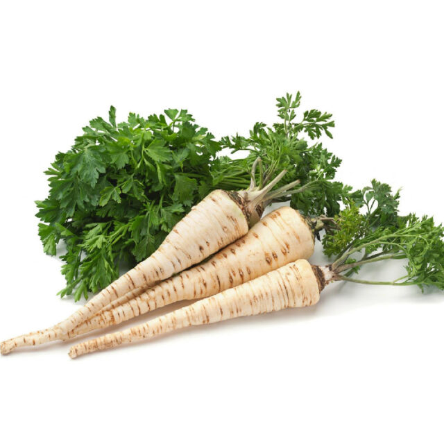 PNOS Nasiona warzyw | Pietruszka Korzeniowa Alba | Opakowanie 3g - imagine 4