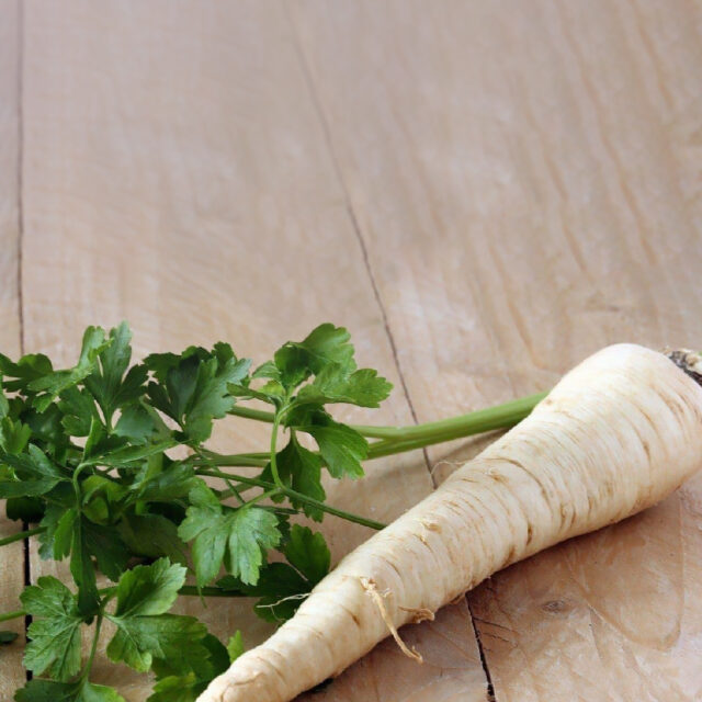 PNOS Nasiona na taśmie | Pietruszka Korzeniowa Alba | Taśma 6m - imagine 5