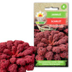 Toraf Nasiona warzyw | Jarmuż Scarlet | Opakowanie 1g