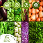 TORAF ZESTAW NASION HARMONIA WARZYW - 12 OPAKOWAŃ - imagine 5