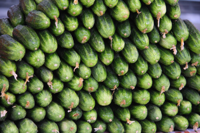 Toraf Nasiona warzyw | Ogórek Śremski F1 | Opakowanie 5g - imagine 4