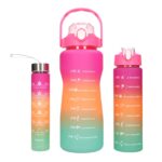 EXTRALINK BIDON MOTYWACYJNY 3W1 ZESTAW RÓŻOWY-POMARAŃCZOWY 2000ML+900ML+300ML