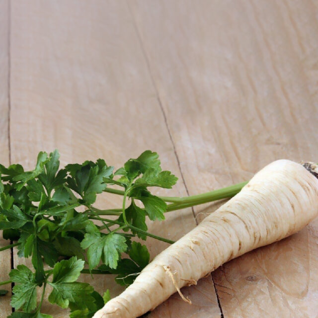 PNOS Nasiona na taśmie | Pietruszka Korzeniowa Halblange | Taśma 6m - imagine 5