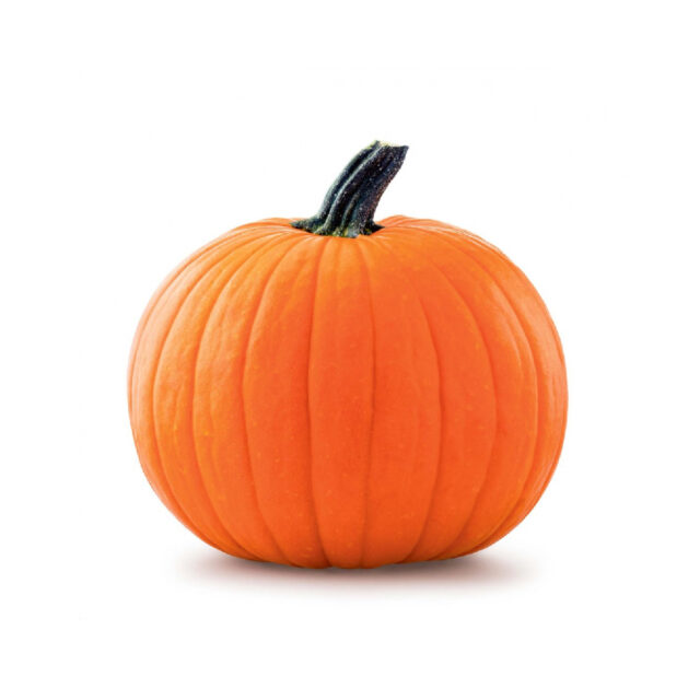 PNOS Mieszanka nasion | Dynia Olbrzymia | Opakowanie 6g - imagine 8